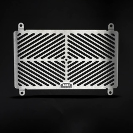 Kawasaki Z250 (2019) R&G Stainless Steel Radiator Guard